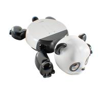 predolo Sottobicchiere a Forma di Panda, Decorativo, con Divertente, Unico per Le Feste.