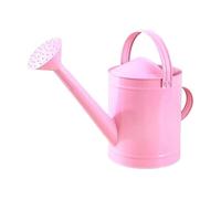 predolo Tanica per l'acqua da 4 Litri, in Ferro, a Prova di perdite, Resistente alla ruggine, per Fiori, Piante da Interno e da Esterno, Rosa