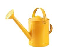 predolo Tanica per l'acqua da 4 Litri, in Ferro, a Prova di perdite, Resistente alla ruggine, per Fiori, Piante da Interno e da Esterno, d'oro