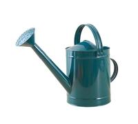 predolo Tanica per l'acqua da 4 Litri, in Ferro, a Prova di perdite, Resistente alla ruggine, per Fiori, Piante da Interno e da Esterno, Blu