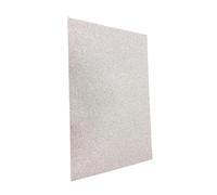 predolo Tappetino di Manutenzione Altamente Assorbente, Antiscivolo E Impermeabile, Realizzato in Poliestere, Tappetino Antiolio per Palestre E