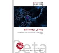Prefrontal Cortex: Frontal Lobes, Brain, Premotor Cortex, Primary Motor Cortex
