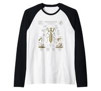 Pregare Mantide Anatomia Vintage Field Guide Art Maglia con Maniche Raglan