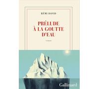Prélude à la goutte d'eau