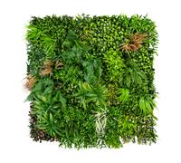 Premium-Blättermatte, Ca 100x100x12cm, Con Farnen, Erbe E Fiori, Plastica