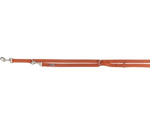 Premium guinzaglio allungabile 2,00 m/10 mm ruggine