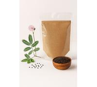 Premium Mimosa Pudica Powder Integratore a base di erbe naturale pulizia e di...