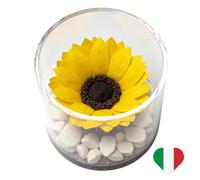 Premium-rose.com Box tondo con Girasole Stabilizzata e Marmo di Carrara, Idea Regalo Unica e Raffinata, Idea regalo per lei, Natale, Cubo Rosa fucsia, Fatta in Italia (girasole 1999)