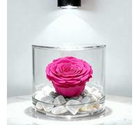 Premium-rose.com Box tondo con Rosa fucsia Stabilizzata e Marmo di Carrara, Idea Regalo Unica e Raffinata, Idea regalo per lei, Natale, Cubo Rosa fucsia, Fatta in Italia (Fucsia 1092)