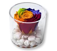 Premium-rose.com Box tondo con Rosa Multicolor Stabilizzata e Marmo di Carrara, Idea Regalo Unica e Raffinata, Idea regalo per lei, Natale, Cubo Rosa, Fatta in Italia (multicolor 1099)