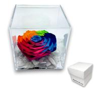 PREMIUM ROSE - Cubo Rosa Stabilizzata 12 cm con Marmo di Carrara - Rosa Eterna Stabilizzata Made in Italy - Idea per Persone Creative, Giovani e Bambini - Multicolor A 12