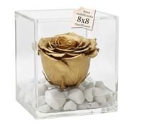 PREMIUM ROSE - Cubo Rosa Stabilizzata 8 cm con Base Microbolle - Rosa Eterna Stabilizzata Made in Italy - Idea per Occasioni Esclusive e Bomboniere di Lusso - Oro A 1801