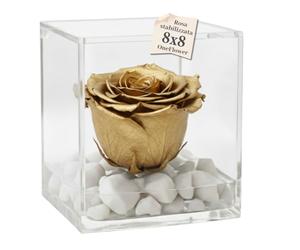PREMIUM ROSE - Cubo Rosa Stabilizzata 8 cm con Base Microbolle - Rosa Eterna Stabilizzata Made in Italy - Idea per Occasioni Esclusive e Bomboniere di Lusso - Oro A 1801