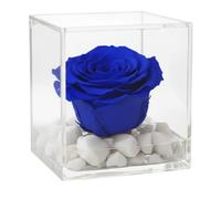 PREMIUM ROSE - Cubo Rosa Stabilizzata Blu 8 cm con Marmo di Carrara - Rosa Eterna Stabilizzata Made in Italy - Idea per Bomboniere, Lauree e Battesimi - Blu A 1081