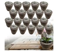 Premium Substrato per Orchidee | Miscela Aerea e Drenante per Radici Sane | Ideale per il Rinvaso di Phalaenopsis e Dendrobium (⌀4,20PCS)