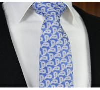 Premium Uomo Cravatta Floreale Cachemire Design 8.5cm Blu Argento Bianco Grigio