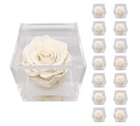 PremiumRose 15 Cubi Rosa Bianca Stabilizzata e Profumata da 6 cm con Rosa Eterna Vera, Idea Regalo Mamma, Fidanzata, Amica, Idea Regalo per Compleanno, Laurea, Matrimonio, Made in Italy (15 Pezzi)