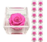 PremiumRose 15 Cubi Rosa Fucsia Stabilizzata e Profumata da 6 cm con Rosa Eterna Vera, Idea Regalo Mamma, Fidanzata, Amica, Idea Regalo per Compleanno, Laurea, Matrimonio, Made in Italy (15 Pezzi)
