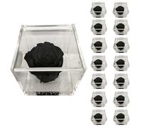 PremiumRose 15 Cubi Rosa Nera Stabilizzata e Profumata da 5 cm con Rosa Eterna Vera, Idea Regalo Mamma, Fidanzata, Amica, Idea Regalo per Compleanno, Laurea, Matrimonio, Made in Italy (15 Pezzi)