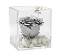 PREMIUMROSE - Cubo Rosa Stabilizzata 8 cm con Base Microbolle - Rosa Eterna Stabilizzata Made in Italy - Idea per Nozze d'Argento e Celebrazioni Raffinate - Argento A 1086