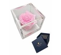 PremiumRose Cubo Rosa Stabilizzata Rosa Profumata da 8 cm con Rosa Eterna Vera | Idea Regalo Mamma, Fidanzata, Amica, Idea Regalo per Compleanno, Laurea | Fatto a Mano in Italia (Rosa - A 1085)