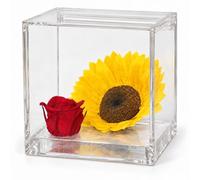 PREMIUMROSE - Cubo Rosa Stabilizzata Rossa con Girasole 12 cm con Base Effetto Microbolle - Rosa Eterna Stabilizzata Idea Regalo Made in Italy - Rosso A 1029