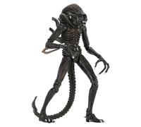 PRENOTAZIONE Aliens Alien Warrior Brown 1986 Ultimate Af 10/05 NECA Figure 40 th