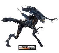 PREORDER GENNAIO 2026 NECA - Aliens Xenomorph Queen Alien Dlx Box Figure