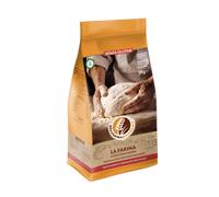 Preparato per pane pizza e pinsa Senza Glutine - Riccione Piadina 1000