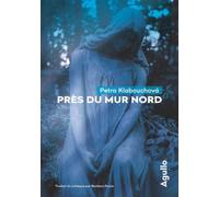 Près du mur nord