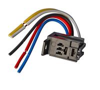 Presa a 4 pin 5 con filo Relè viola automobilistico universale da 40 A 12 V 24 CC(5pin wire socket)