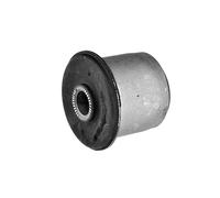 Presa Braccio Oscillante Adatto A per Ssangyong Rexton II 06 Actyon 01-09, Kyron