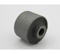 Presa Braccio Oscillante Adatto per Mitsubishi Pajero 91-04 / Posteriore,Lungo /