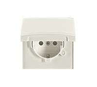 PRESA ELETTRICA BUSCH-JAEGER SchukoSteckdoseneinsatz 20 EUGKB-32-101, 250 V