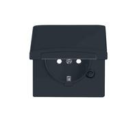 PRESA ELETTRICA BUSCH-JAEGER SchukoSteckdoseneinsatz 20 EUGKB-35-101, 250 V, Antracite