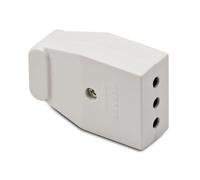 Presa elettrica Master 2P+T 10A 05511