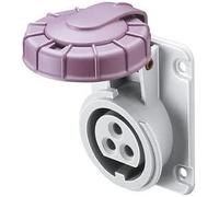 Presa Fissa Gewiss Incasso A 10 Gradi IP67 2P 16A 20-25V Viola Cablaggio A Vite