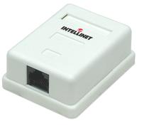 Presa muro RJ45 Cat5e UTP 1 porta beige 110 Krone - Intellinet IWP-MD SC-1FT