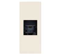 Presa Telefonica RJ11 Vimar Linea 6/4 1 Modulo Canapa 30320.C