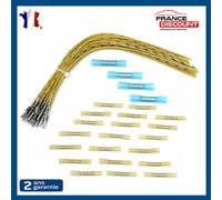 Fascio Presa Porta Posteriore Sinistro O Destra Ford Galaxy 1995-2006 Sharan