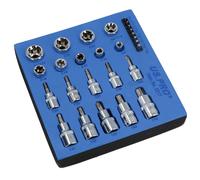 Prese e punte Torx / Star maschio e femmina E10 - E20 / T8 - T70 BERGEN AT807
