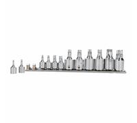 Prese Torx Star maschio 1/4" e 3/8" unità T10 - T60 set da 12 pezzi su guida