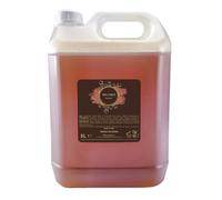 PRESENT-MORE - Bagno Schiuma 5lt Arganier - Confezione da 2 Pezzi - Bagnoschiuma Senza Allergeni - Fragranza Argan - Made in Italy - Ideale per Hotel e B&B