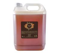 PRESENT-MORE - Shampoo Hotel 5lt Arganier - Confezione da 4 Pezzi - Shampoo Senza Allergeni - Fragranza Argan - Made in Italy - Ideale per Hotel e B&B