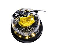 Preserved Real Rose with LED Light Eternal Flowers For Mom Grandma Wife On Mothers Day Birthday Valentines Christmas and Thanksgiving.Preserved Roses In Box Scrivania (Yellow One Size)