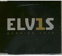 Presley Elvis - Burning Love