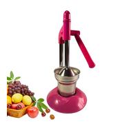 Pressa manuale professionale per frutta con struttura in acciaio inossidabile rinforzata e filtro a purea rapida per l'efficienza quotidiana della cucina con manico forte strumento da cucina