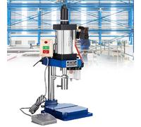 Pressa Verticale per Impieghi Gravosi, Pressa Pneumatica a Colonna Singola Tipo 63 - per Rivettatura ad Alta Precisione, Piccola Pressa a Gas da 200 kg, Pedale Incluso