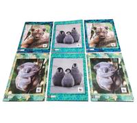 PRESTIGE & DELUXE Set quadernoni 6 pezzi per la scuola WWF grafica fotografica Quadretti 5 mm 30% di pagine in più maxi + Omaggio penna colorata