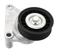 Pretfy Tenditore della Cinghia con Puleggia 12554027, Sostituzione di Express 1500, Mantiene la Tensione della Cinghia